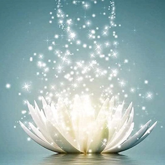 Meet your Posher, Celine - Picture 1 of 2